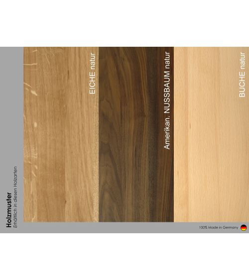 Monitorbrücke MODENA-R